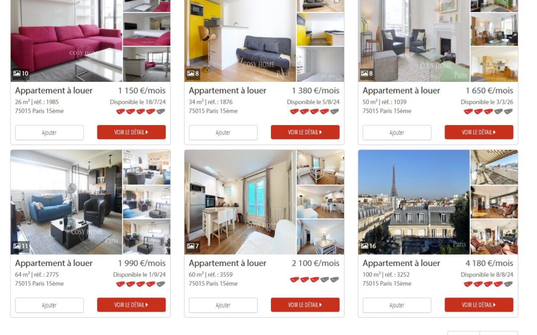 Avis sur Cosy Home, que vaut ce spécialiste de la location d’appartements et maisons meublés ?